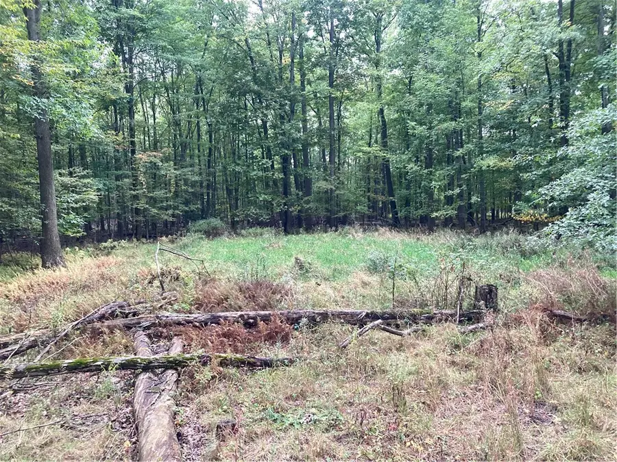 0 3rd St, Espyville, PA 16424 - #3