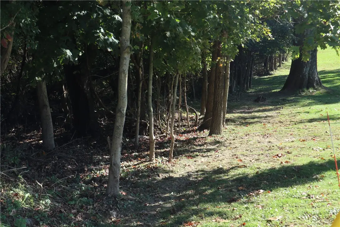 0 Watkins Road, Brownsville, PA 15417 - #1