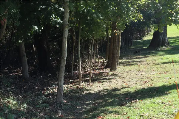 0 Watkins Road, Brownsville, PA 15417