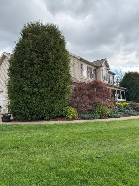 290 Linda Avenue, Uniontown, PA 15401 - #3