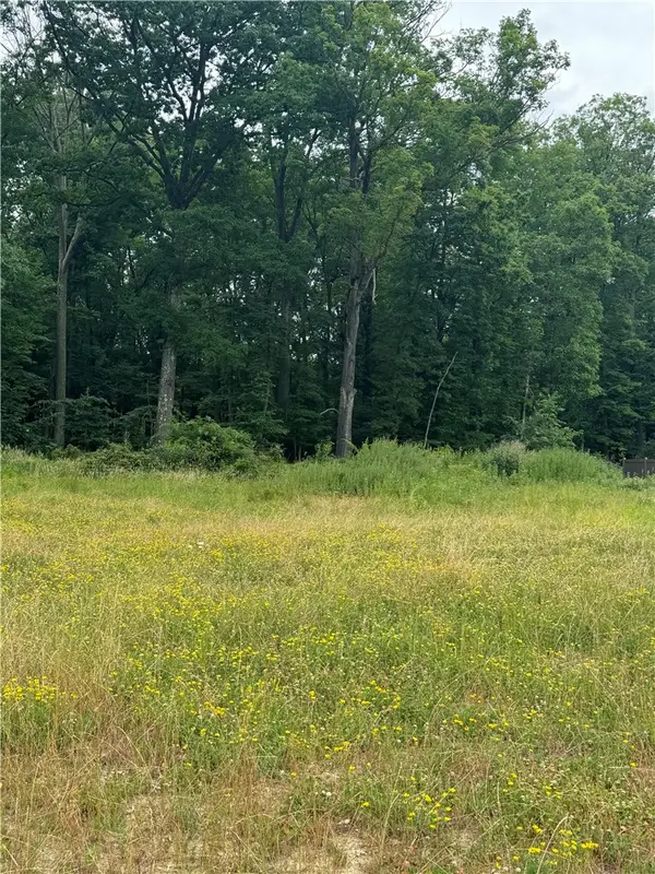 (Lot 106) 1010 Goldeneye Drive, Baden, PA 15005