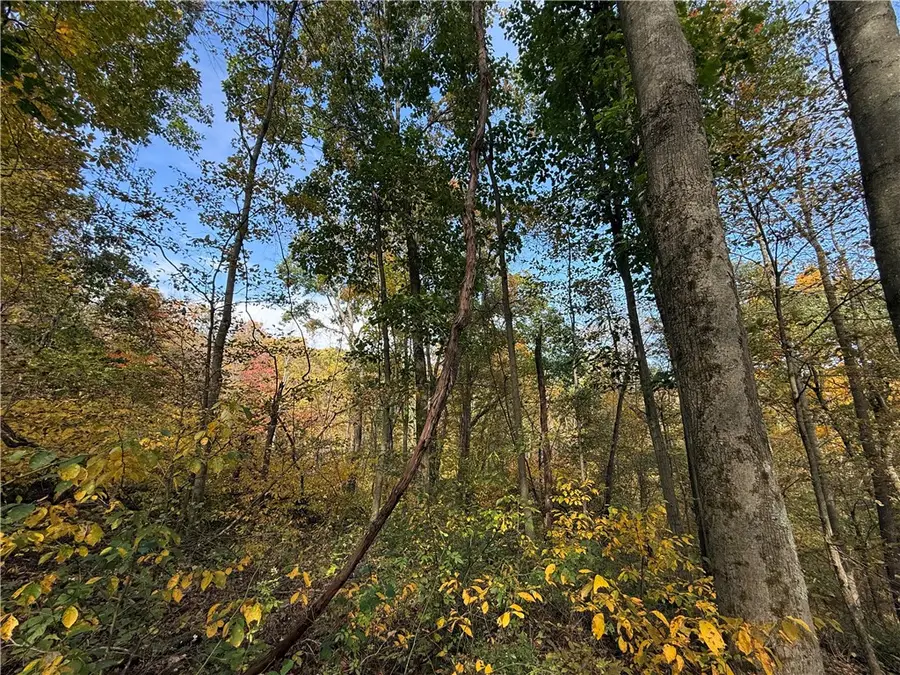 000 Camp Rd, Rural Valley, PA 16249 - #2