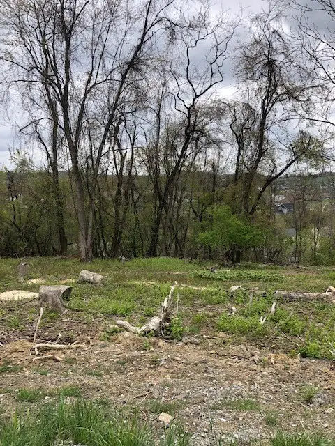 0111 Ridge Rd, South Park, PA 15129