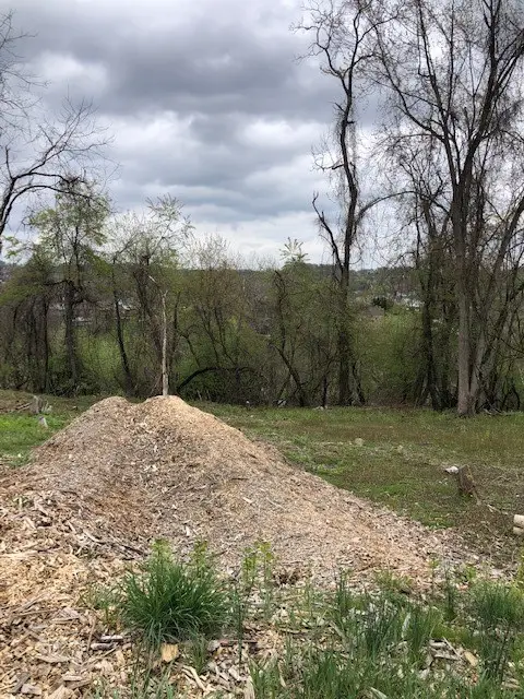 0111 Ridge Rd, South Park, PA 15129 - #2