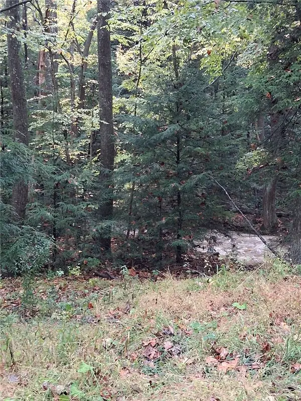 0 Popson Rd, Penn Run, PA 15765
