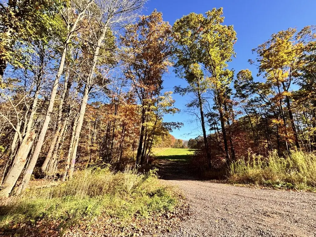 00 Mountain Road, Meyersdale, PA 15552 - #1