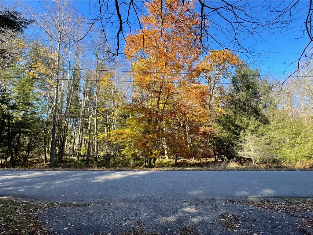 Lot 254 Clear Run Road - Peninsula Estates, Central City, PA 15926 - #1
