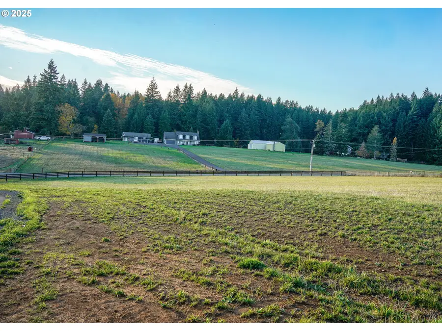 161 Cooper Hill Ct, Castle Rock, WA 98611 - Image #3