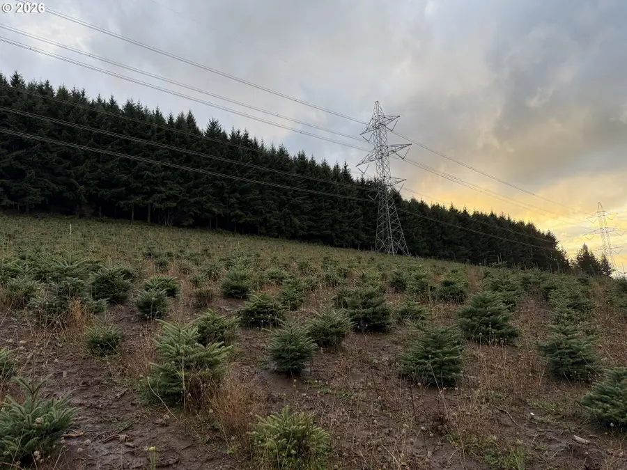 Siegmund Rd Se, Stayton, OR 97383 - Image #3