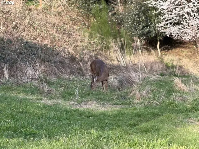 180 Auburn Ave, Astoria, OR 97103 - #2