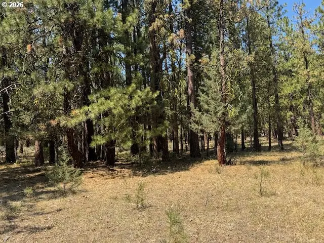 Whitetail Ln #Lot 3, Bonanza, OR 97623 - #1