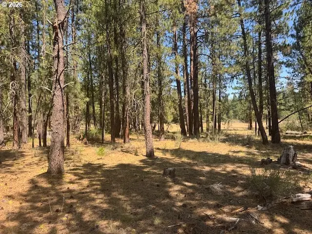 Whitetail Ln #Lot 3, Bonanza, OR 97623 - #2