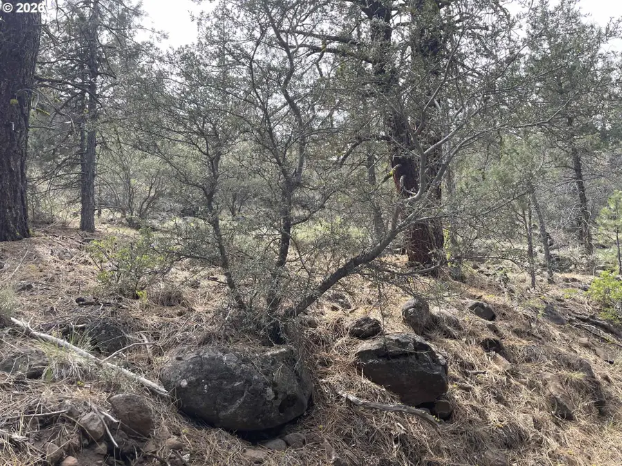 Lakeview Hwy 140 #1200, Lakeview, OR 97630 - #2