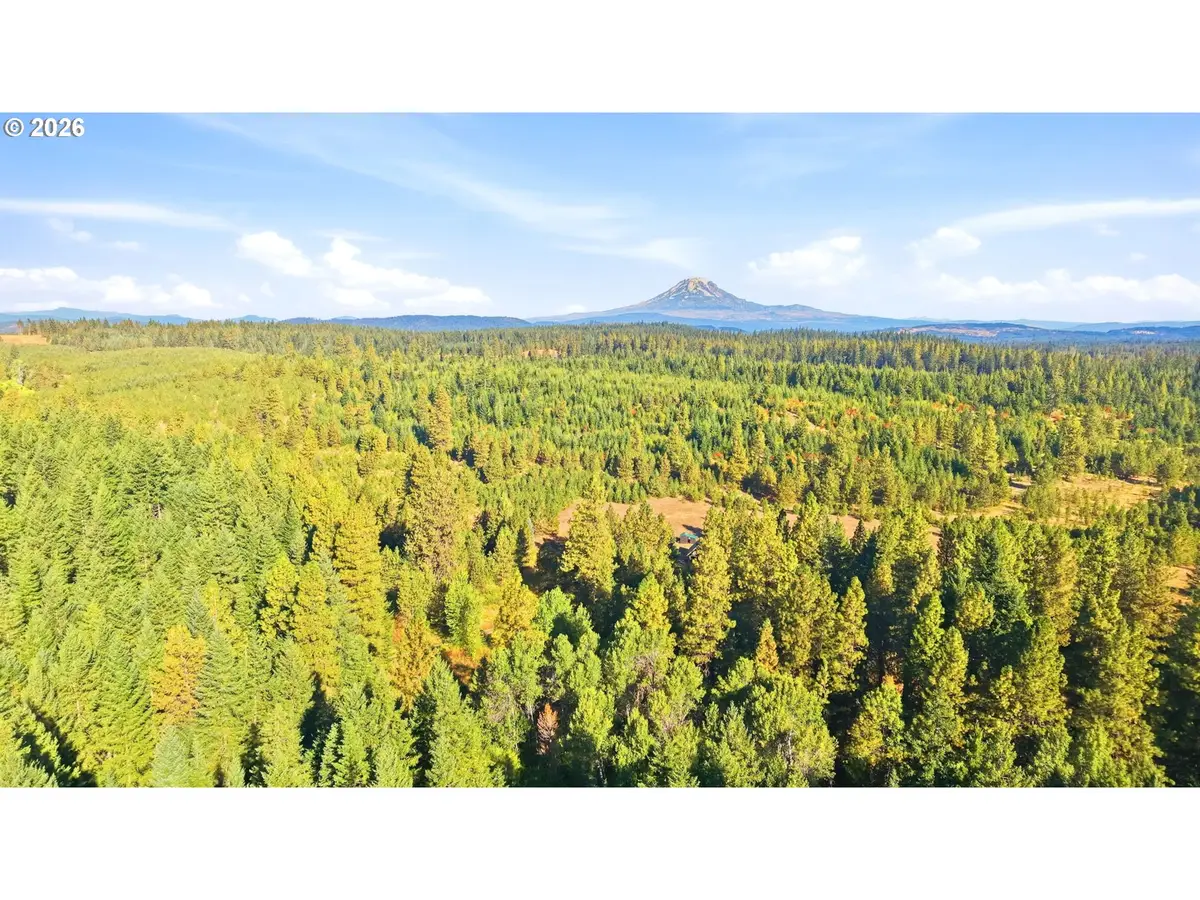 7 Mill Rd, Appleton, WA 98602 - #1