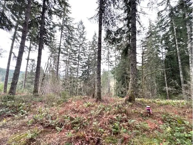 Highway 47, Vernonia, OR 97064 - #2