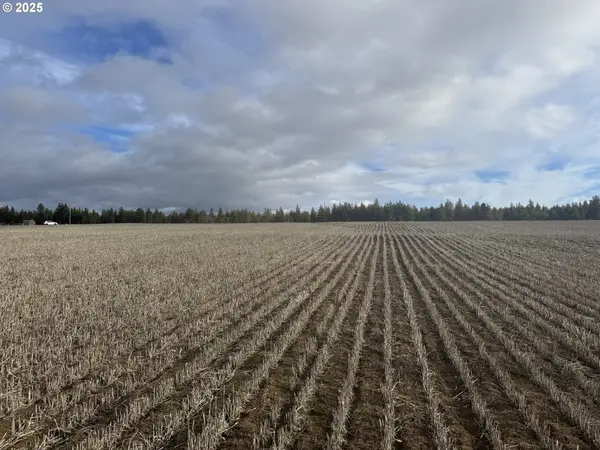 Nka Two Mountainview Rd #1, Centerville, WA 98613