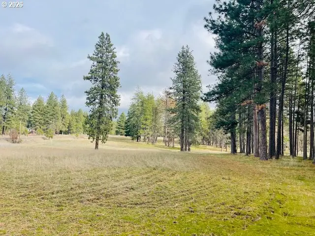 Orchard Heights Rd #Lot 1, Goldendale, WA 98620 - #1