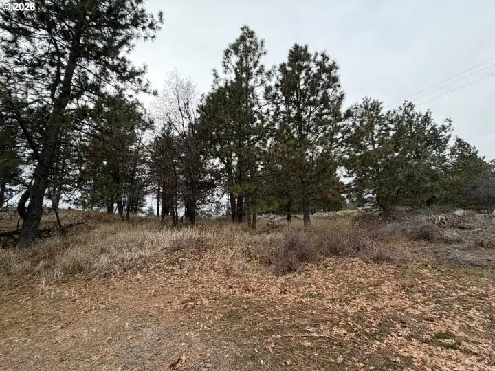 210 Pine St, Roosevelt, WA 99356 - #3