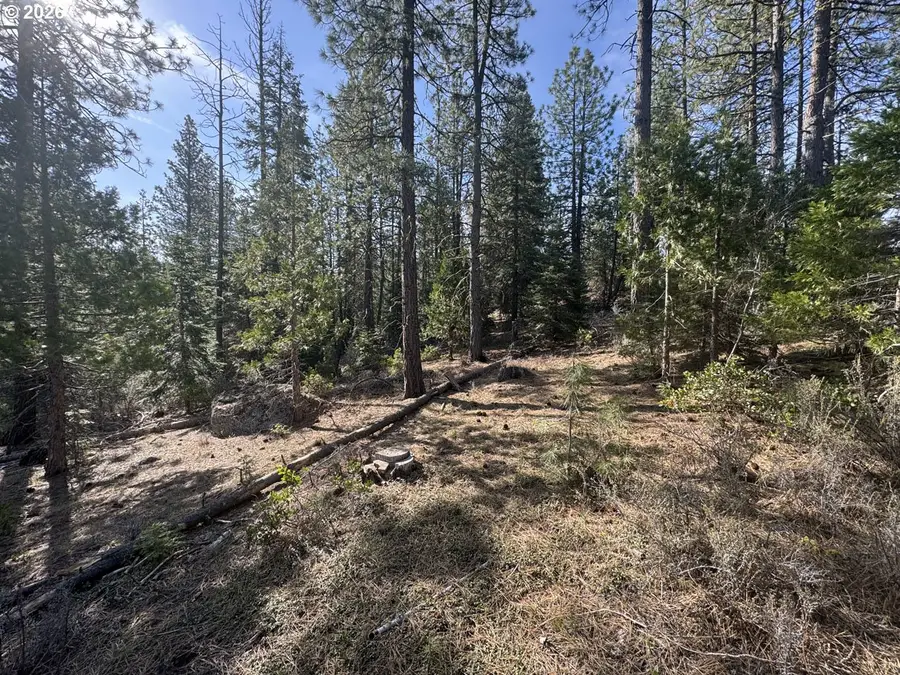 Cardinal Drive #4, Bonanza, OR 97623 - #2