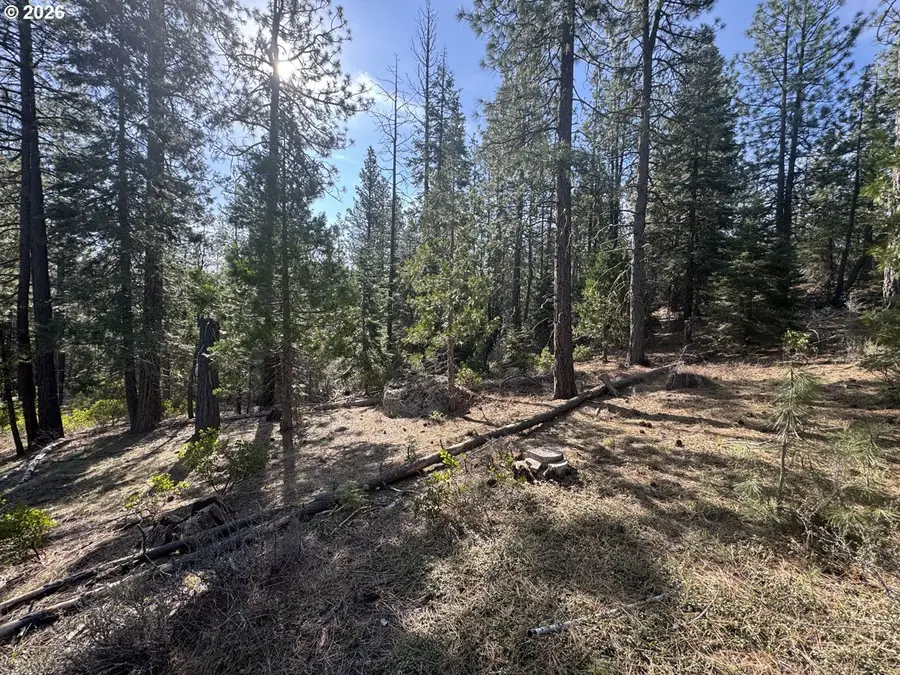 Cardinal Drive #4, Bonanza, OR 97623 - #3