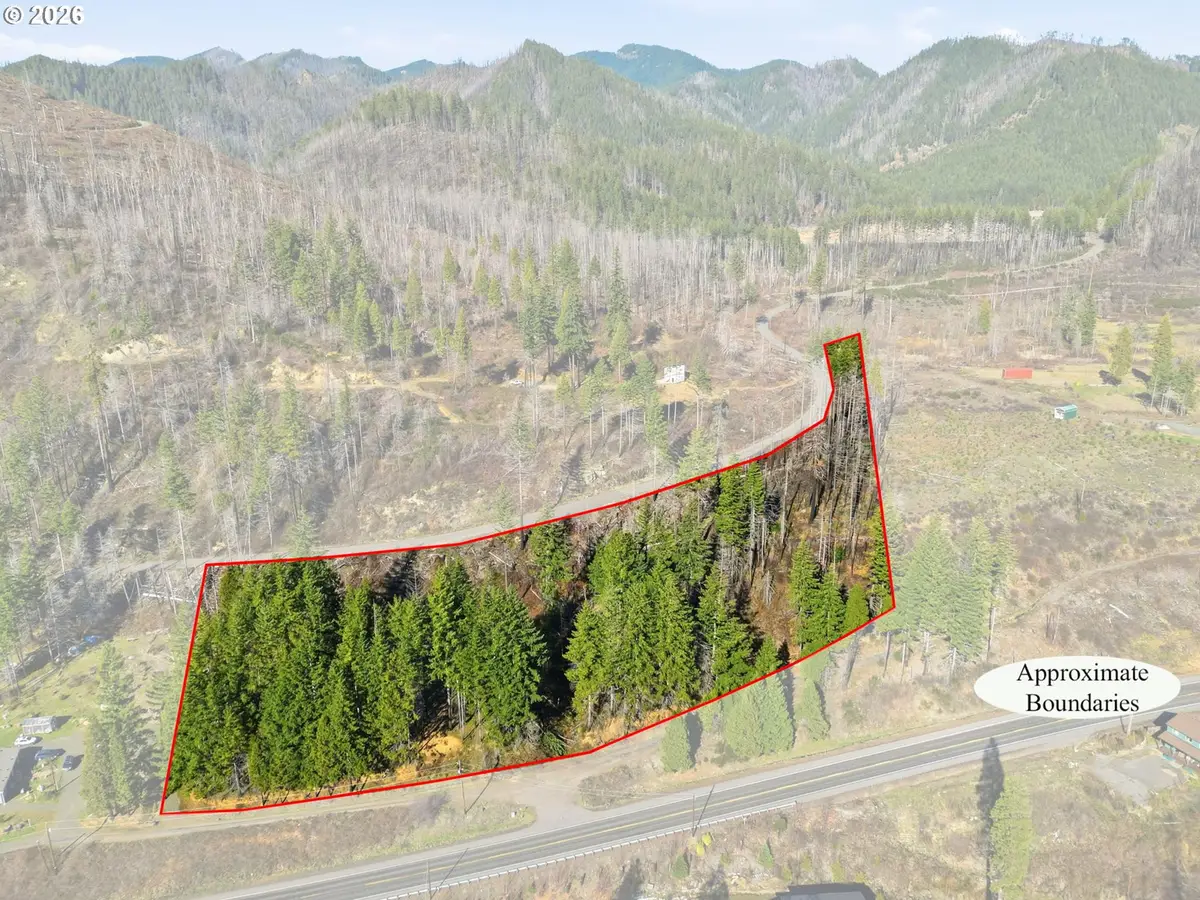 53189 Mckenzie Hwy, McKenzie River, OR 97413 - #1