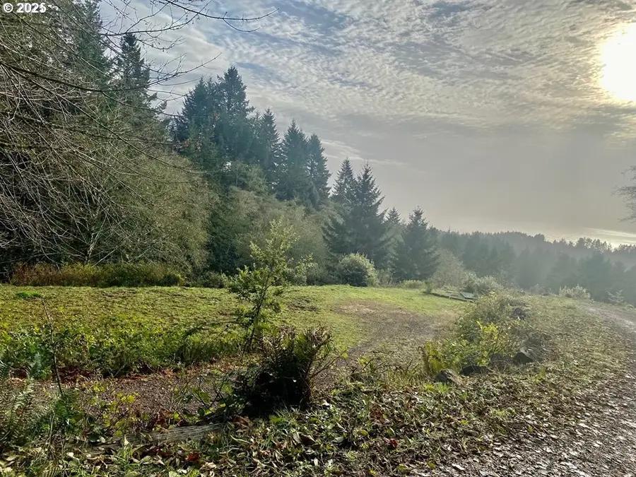 0 Whisper Ln, Brookings, OR 97415 - Image #3