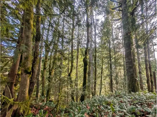 00971354 E Rolling Green Ct, Welches, OR 97067