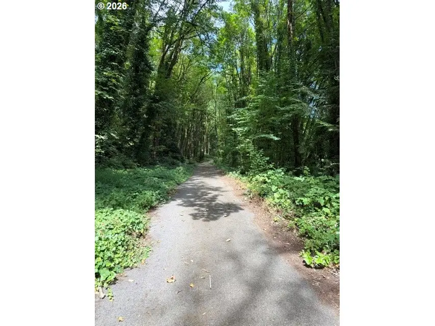 9935 NW Mackay Ave, Portland, OR 97231 - #3
