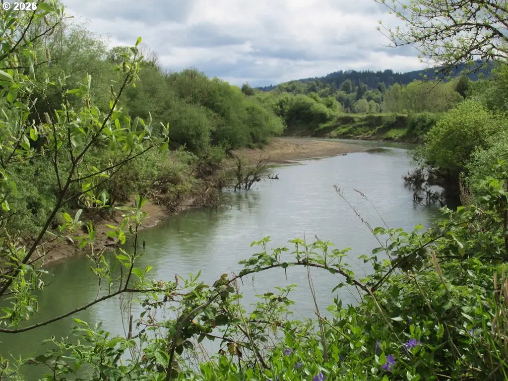 54210 Old Broadbent Rd, Myrtle Point, OR 97458 - #1