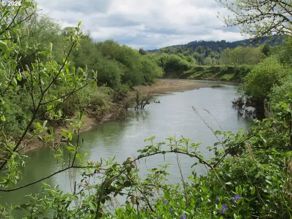 54210 Old Broadbent Rd, MyrtlePoint, OR 97458