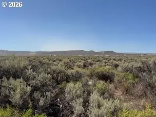 Oster Farms Ln #600, ChristmasValley, OR 97641
