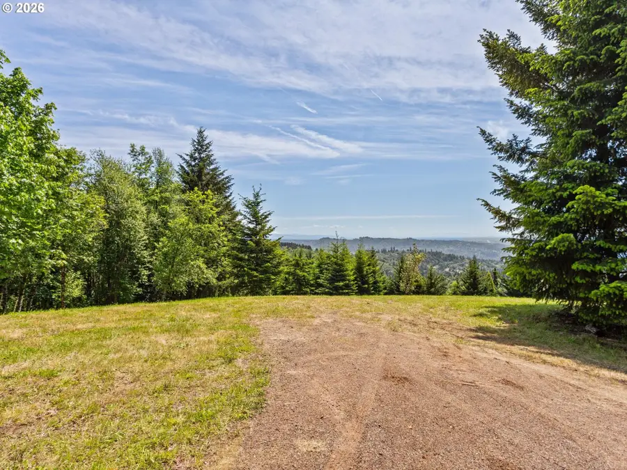 430 Runyan Rd, Woodland, WA 98674 - #3