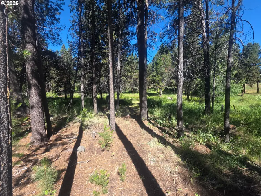 17040 Island Loop Way, Bend, OR 97707 - #2