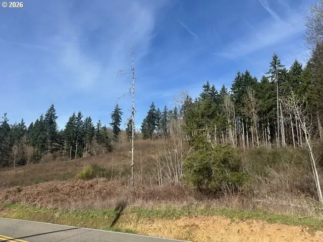 0 NE Jenny Creek Road, La Center, WA 98629 - #3