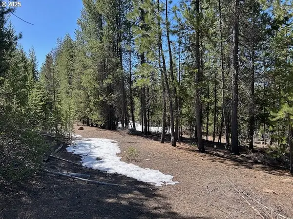 33 Emerald Meadows Way, CrescentLake, OR 97733