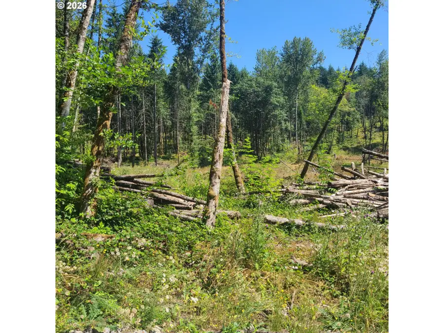 00 SE Zion Hill Dr, Damascus, OR 97089 - #3