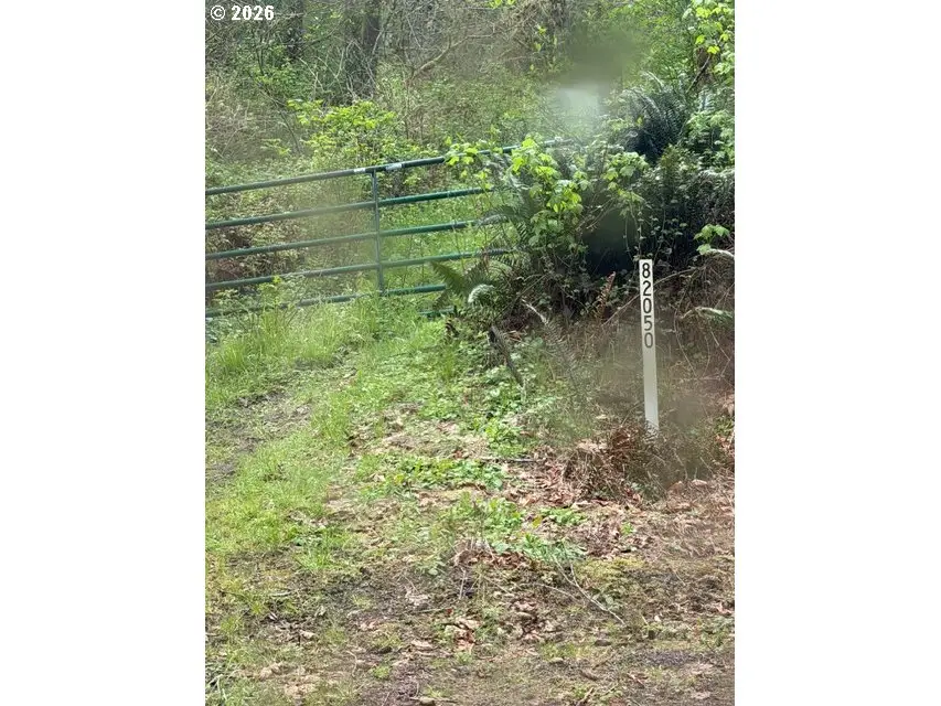 00 Adj 82050 Red Bluff Rd, Elsie, OR 97138 - #1