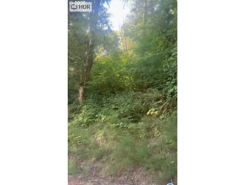 00 Adj 82050 Red Bluff Rd, Elsie, OR 97138 - #3