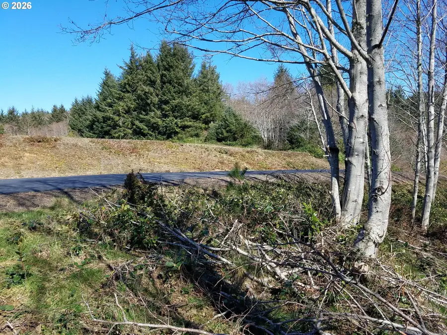Holly Heights Ave #TL 218, Netarts, OR 97143 - #2