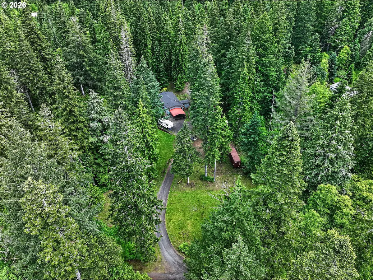142 Spring Ln, Stevenson, WA 98648 - #1