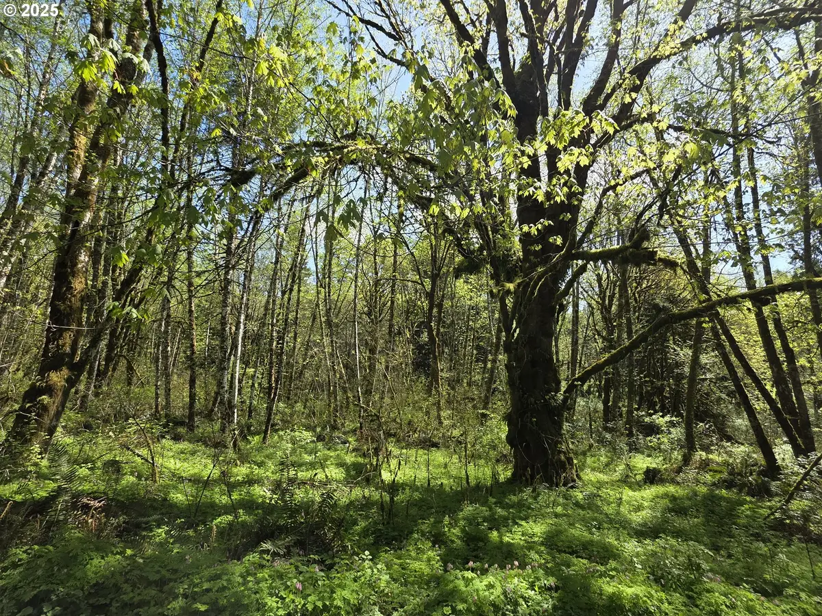 Mill Falls Ln, Longview, WA 98632 - #1