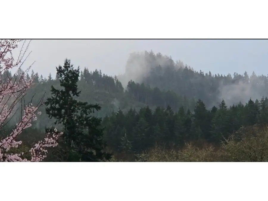 550 S State St #135, Sutherlin, OR 97479 - #3