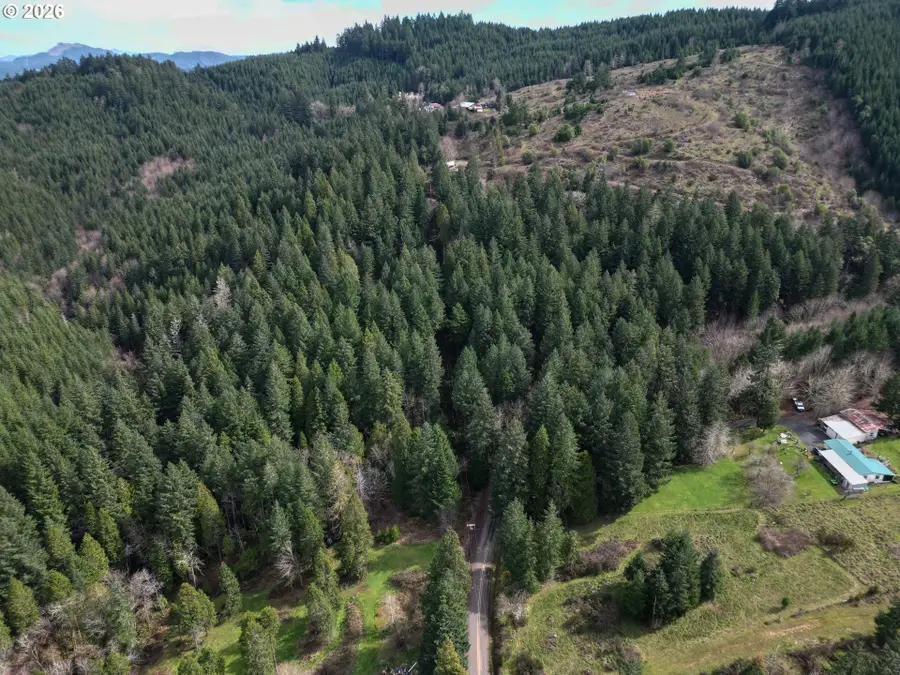 Laurel Hill Dr, Drain, OR 97435 - #3