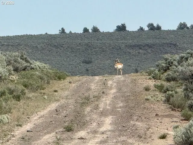 Blm 61-21 Rd #700, Silver Lake Fort Rock, OR 97641 - #2