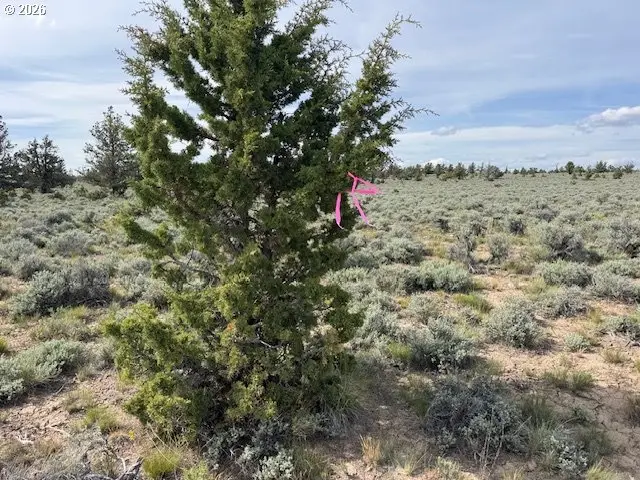 Blm 61-21 Rd #700, Silver Lake Fort Rock, OR 97641 - #3