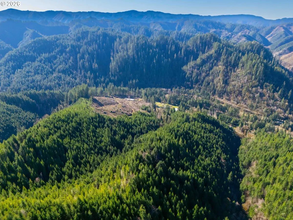 16013 Richardson Upriver Rd, Walton, OR 97490 - #1