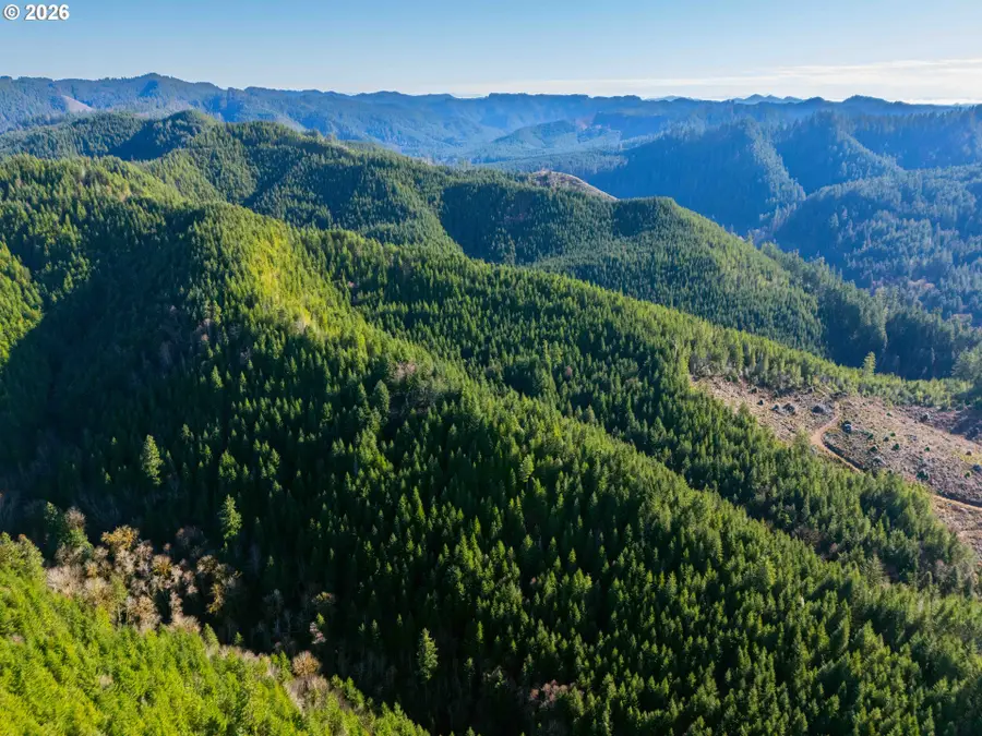 16013 Richardson Upriver Rd, Walton, OR 97490 - #2