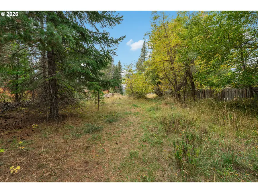 2438 Highway 141, Trout Lake, WA 98650 - #2