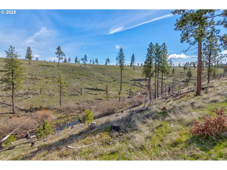 1 2 Box Canyon Rd, Goldendale, WA 98620 - Image #2