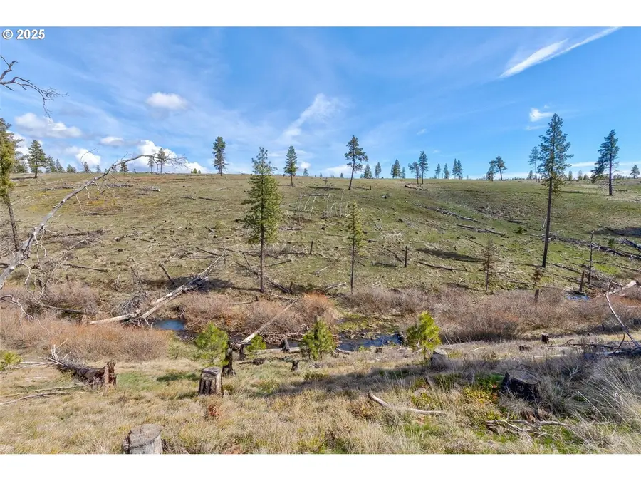 1 2 Box Canyon Rd, Goldendale, WA 98620 - Image #3